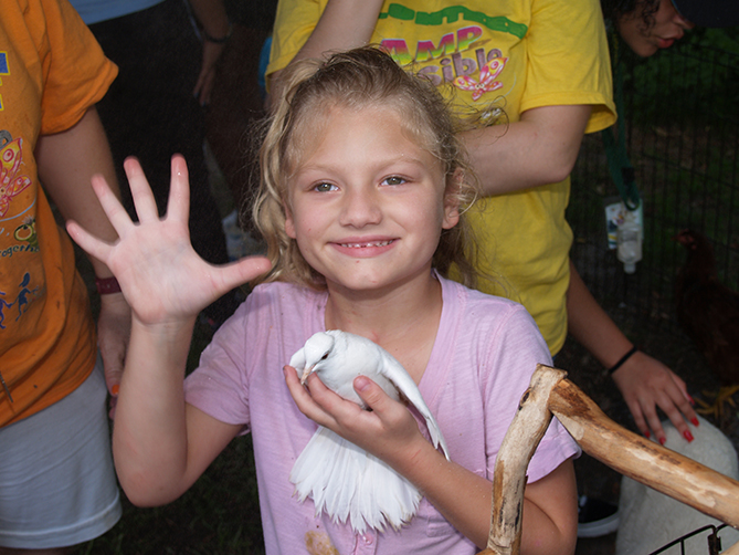 Young girl in pink shirt holds white dove